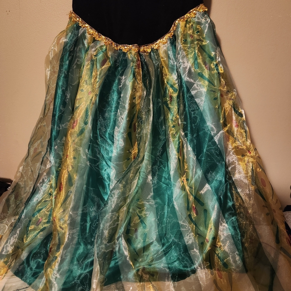 Frozen Princess Anna Dress Adult Size XS - Picture 3 of 4